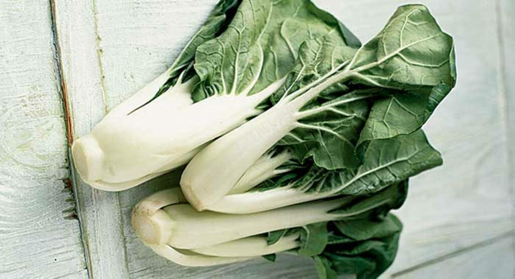 Vibrant Bok Choy Wallpaper: Fresh Cabbages on Rustic Wood Background