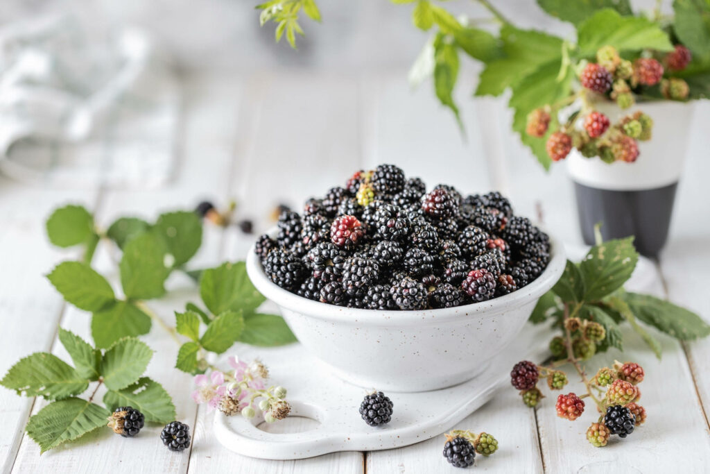 Bowl of fresh ripe boysenberries on rustic white table with green leaves and berry branches Wallpaper