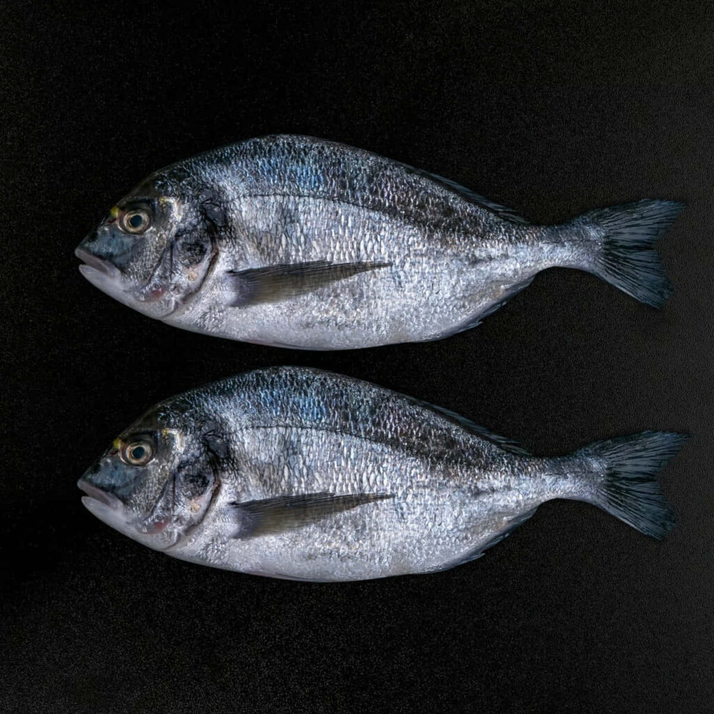 Two fresh bream fish with silvery scales on black background minimalist seafood wallpaper