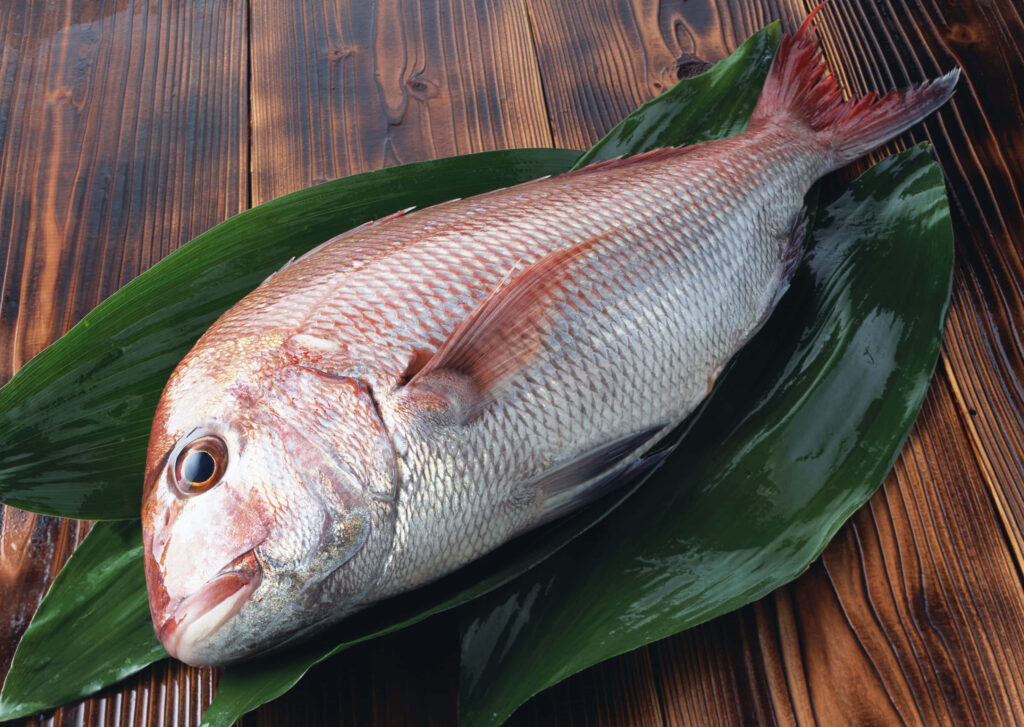 Fresh bream fish on green leaves over rustic wood detailed seafood wallpaper background