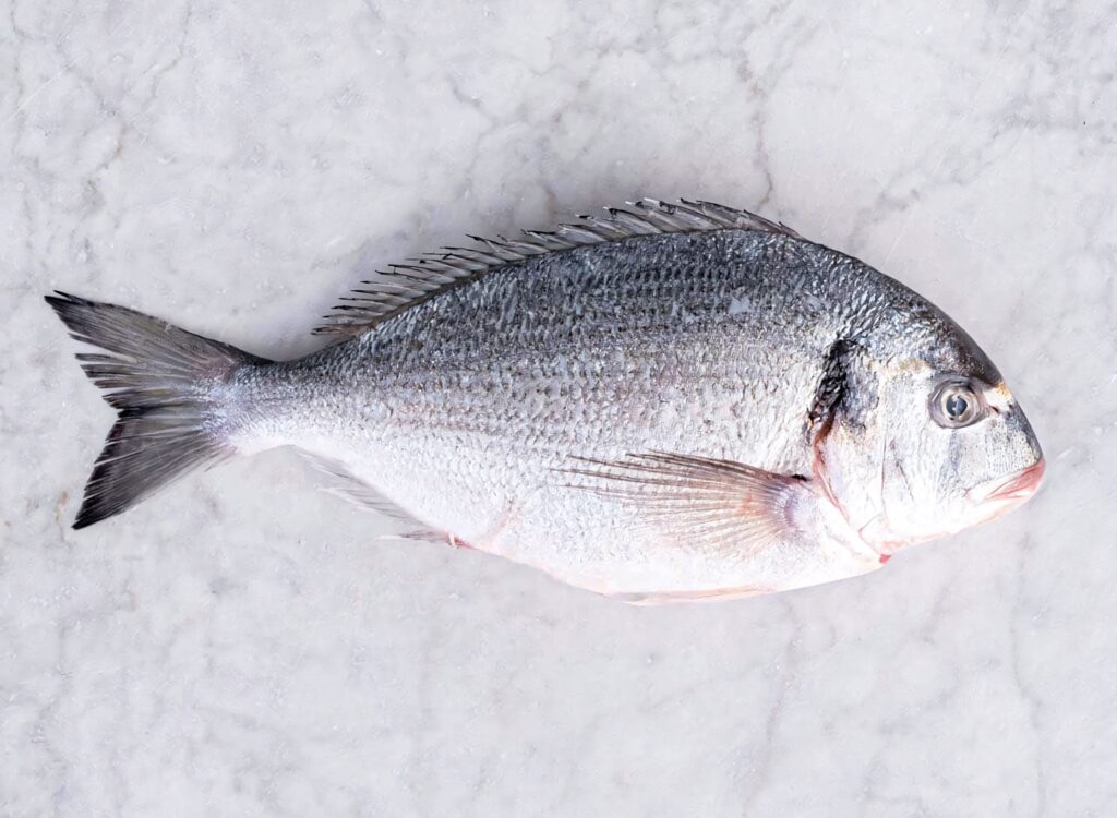Fresh silver bream fish on white marble background showcasing seafood texture and freshness Wallpaper