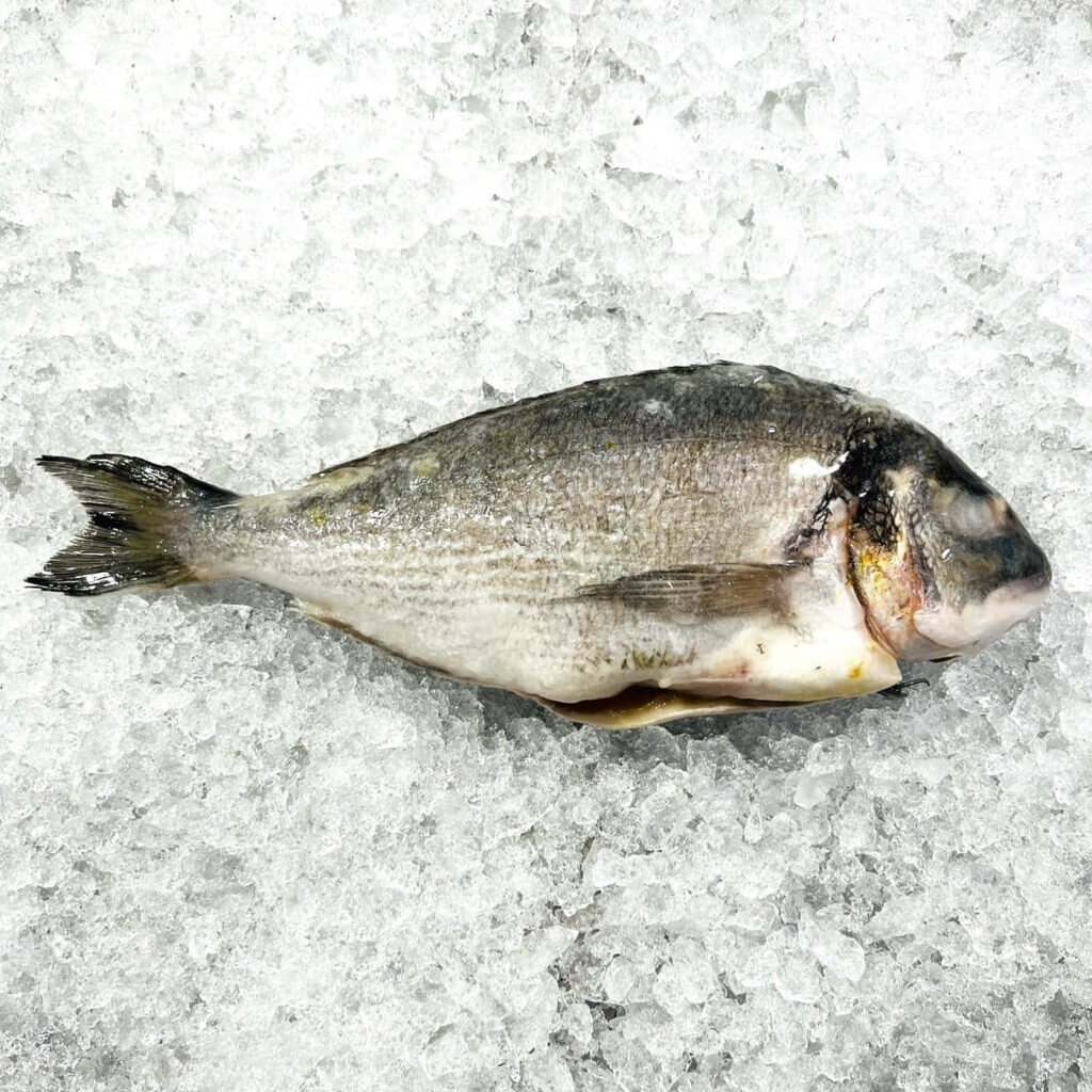 Fresh whole bream fish on crushed ice showcasing seafood freshness for culinary backgrounds Wallpaper