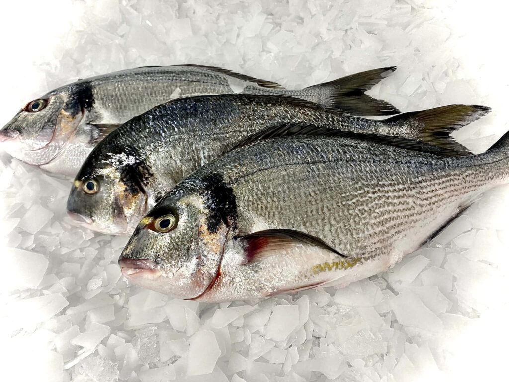 Three fresh bream fish on crushed ice with shimmering silver scales and sharp fins food photography Wallpaper