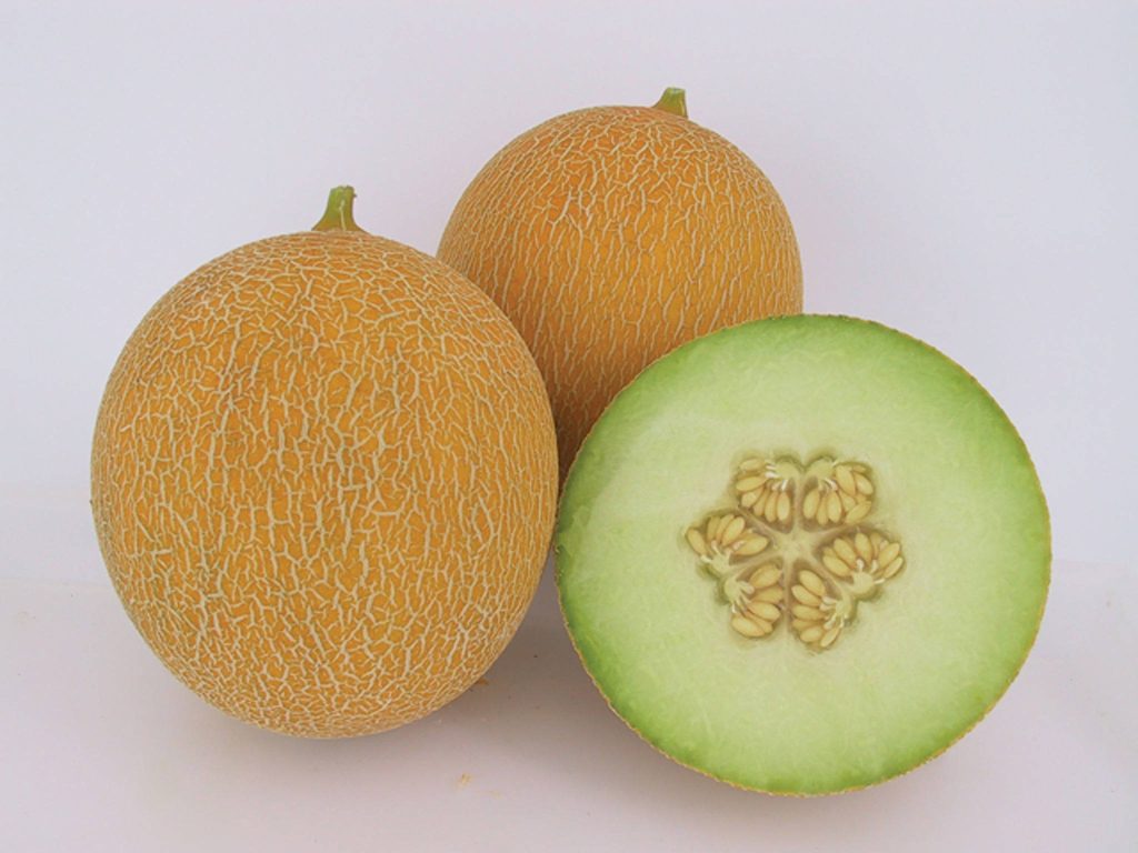 Fresh cantaloupes with textured rind and juicy pale green flesh on white background Wallpaper