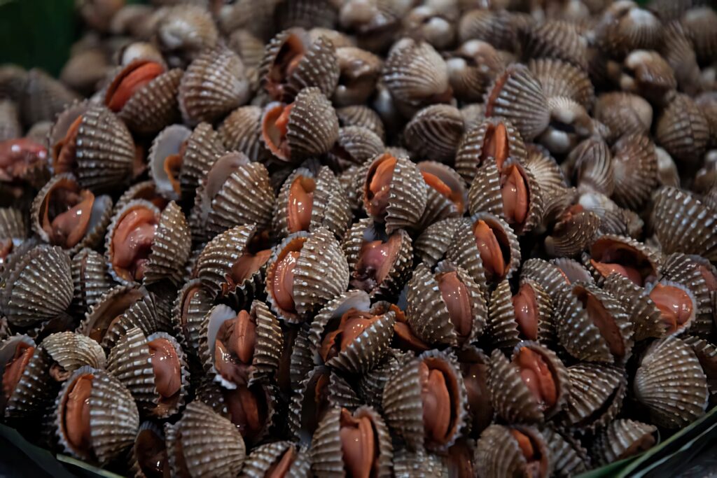 Fresh cockles with textured brown and orange shells at a busy seafood market wallpaper background