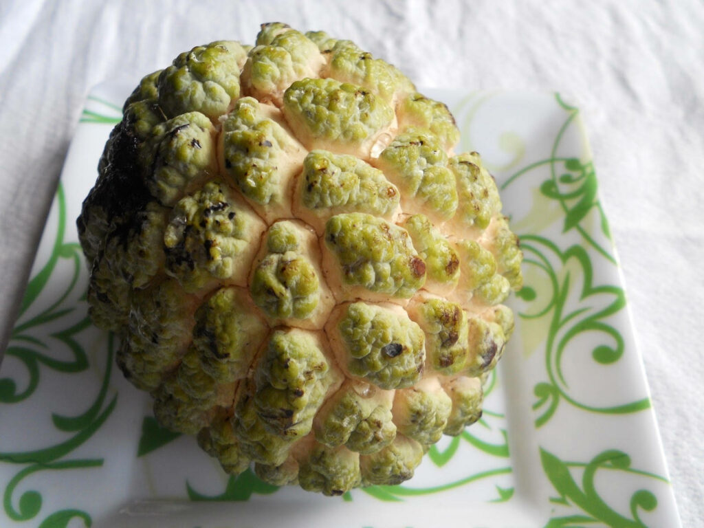 Fresh Custard Apple Close-Up on Decorative Plate - Green Floral Wallpaper