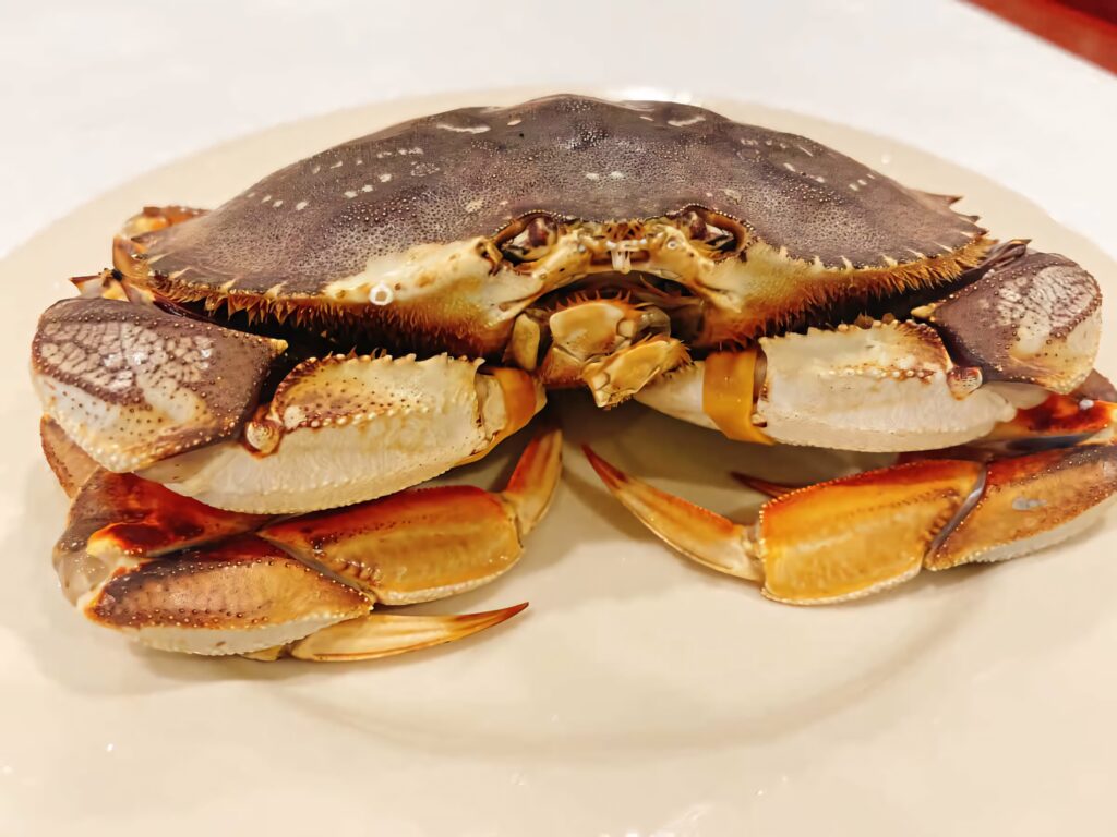 Dungeness crab on cream plate showcasing detailed shell texture and rich orange brown hues Wallpaper