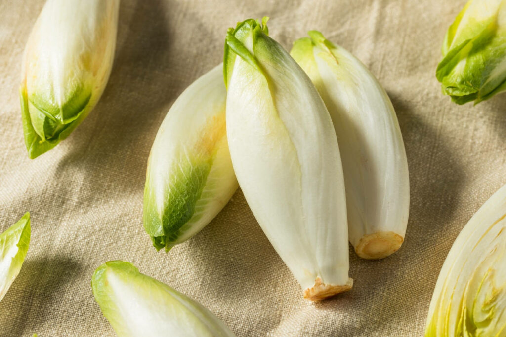 Fresh Endive Vegetables on Textured Brown Canvas - Wallpaper Background