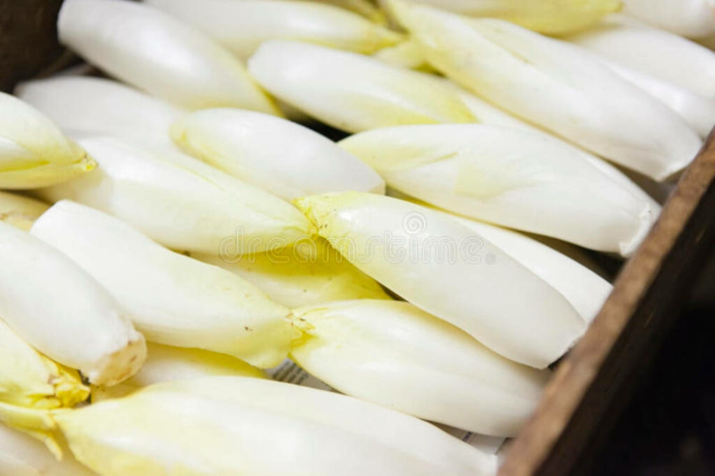 Vibrant Endives Wallpaper: Rustic Elegance with Crisp Textures