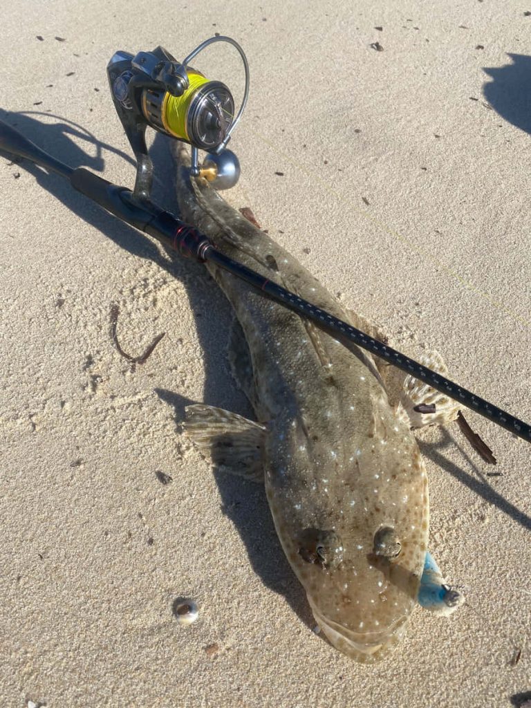 Flathead fish on sandy beach with yellow-lined spinning reel fishing rod in bright sunlight Wallpaper
