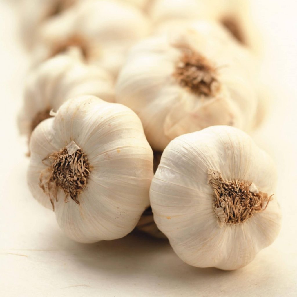 Macro photo of fresh garlic bulbs with sharp texture on bright minimalist background wallpaper