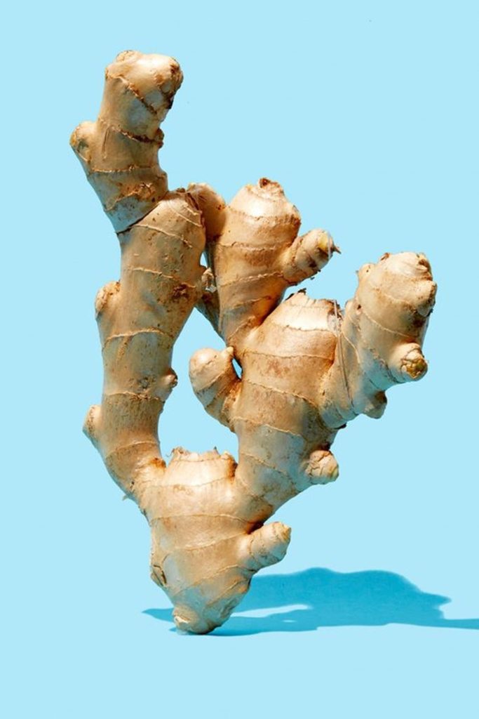 Fresh ginger rhizome with knobby texture on vibrant light blue minimalist studio background Wallpaper