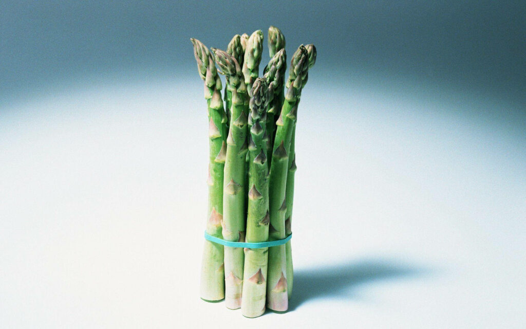Fresh Green Asparagus Bunch with Blue Rubber Band - Wallpaper Background