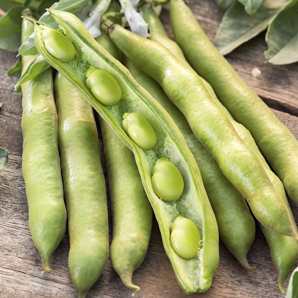 Fresh green beans in pod on rustic wooden surface vibrant natural vegetable wallpaper background