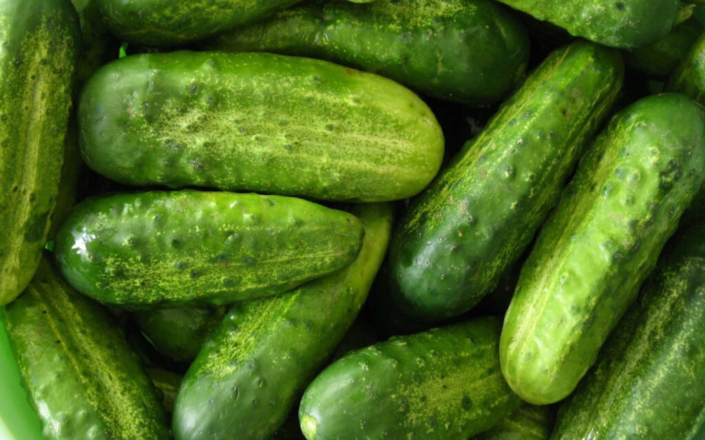 Close-up of fresh green cucumbers with smooth glossy skin highlighting crisp natural textures Wallpaper