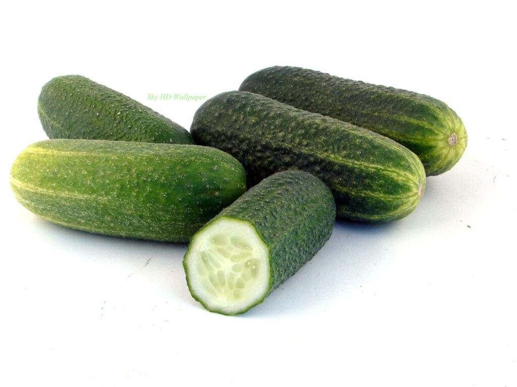 Fresh green cucumbers wallpaper with one sliced showing juicy pale interior on white background