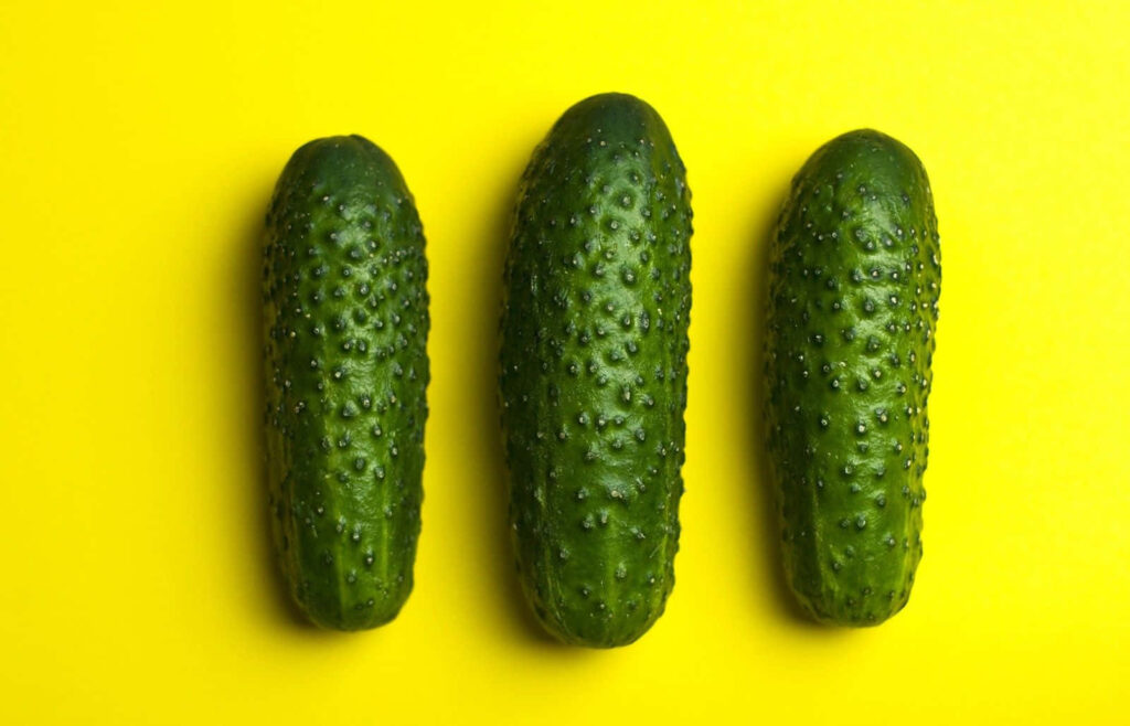 Three fresh green cucumbers with crisp texture on vibrant yellow background for freshness Wallpaper