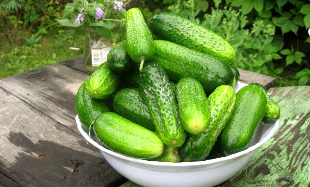 Fresh green cucumbers in wooden bowl on rustic table outdoors natural light healthy living wallpaper