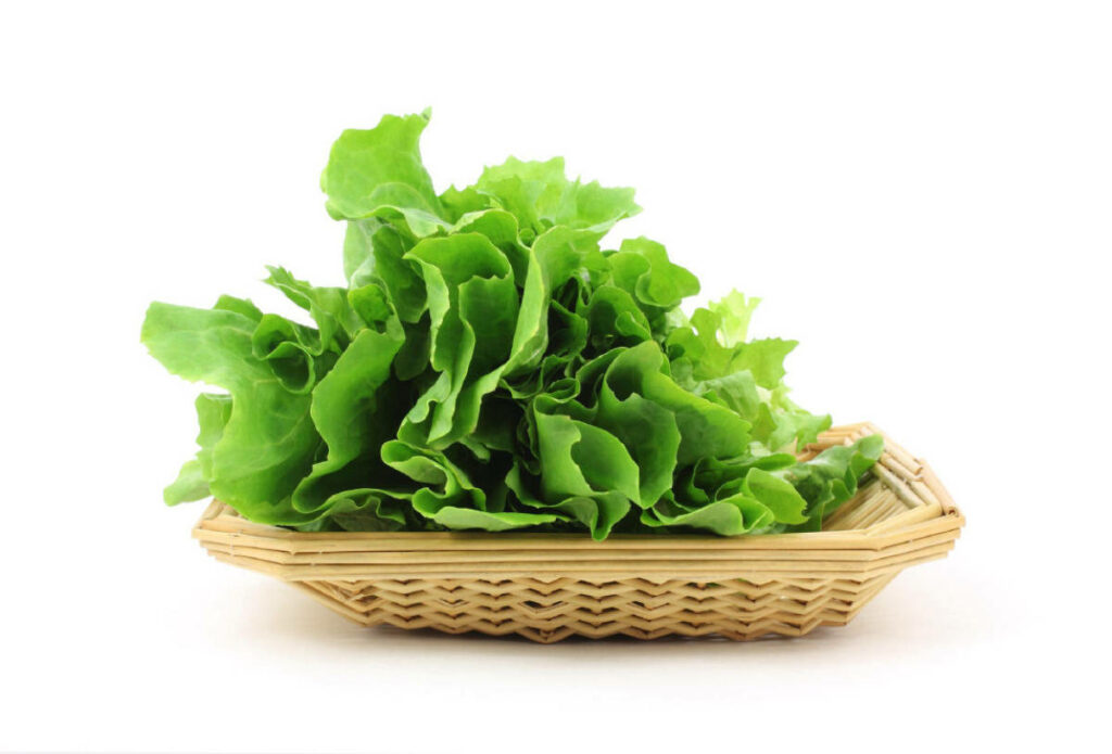 Vibrant Green Escarole Wallpaper in Rustic Rattan Basket