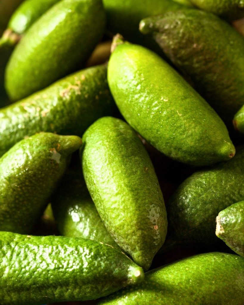 Close-up of fresh vibrant green finger limes showing detailed bumpy texture in natural light Wallpaper