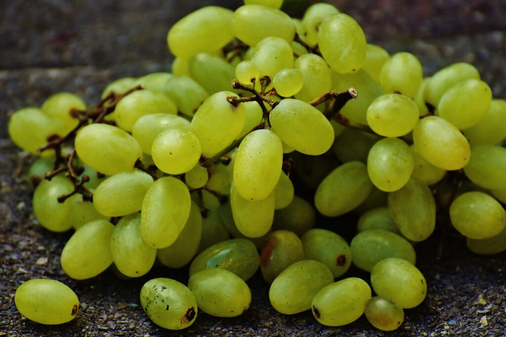 Fresh Green Grapes Wallpaper: Juicy Close-Up Background Image
