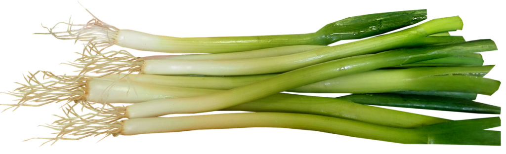 Fresh Green Leeks Bundle on Transparent Background - Wallpaper Design