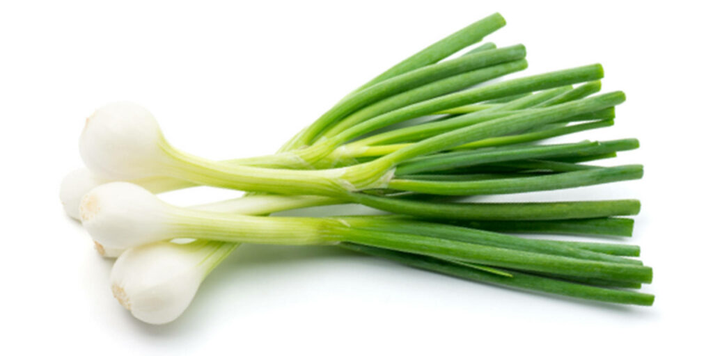 Vibrant Green Onion Wallpaper: Crisp Nature Background for Your Screen