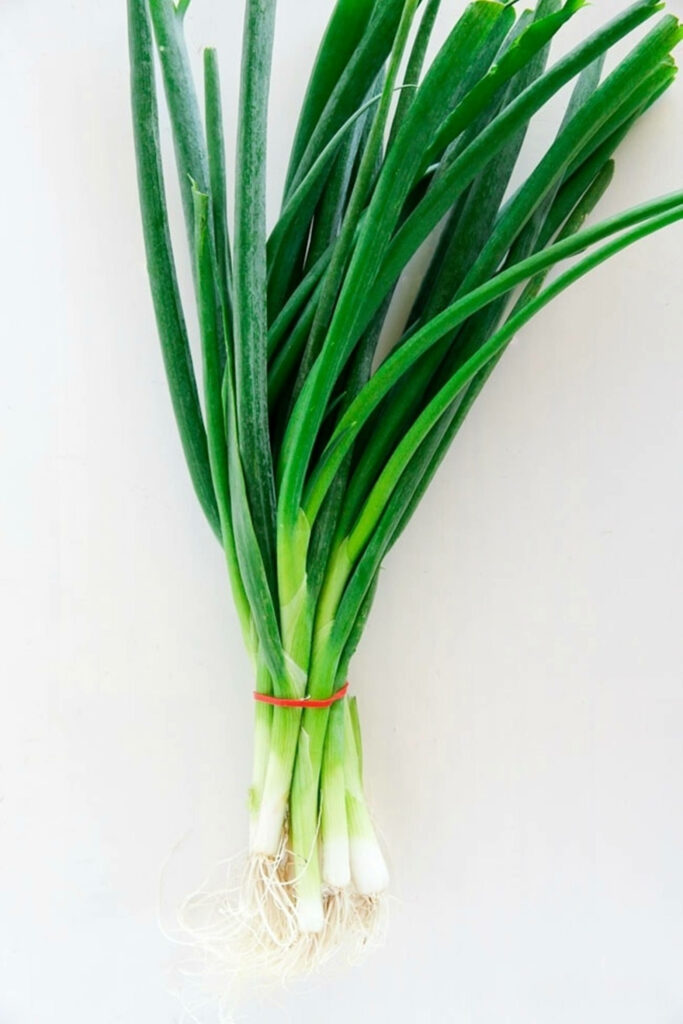 Fresh Green Onion Wallpaper: Vibrant Sprigs with Red Rubber Band