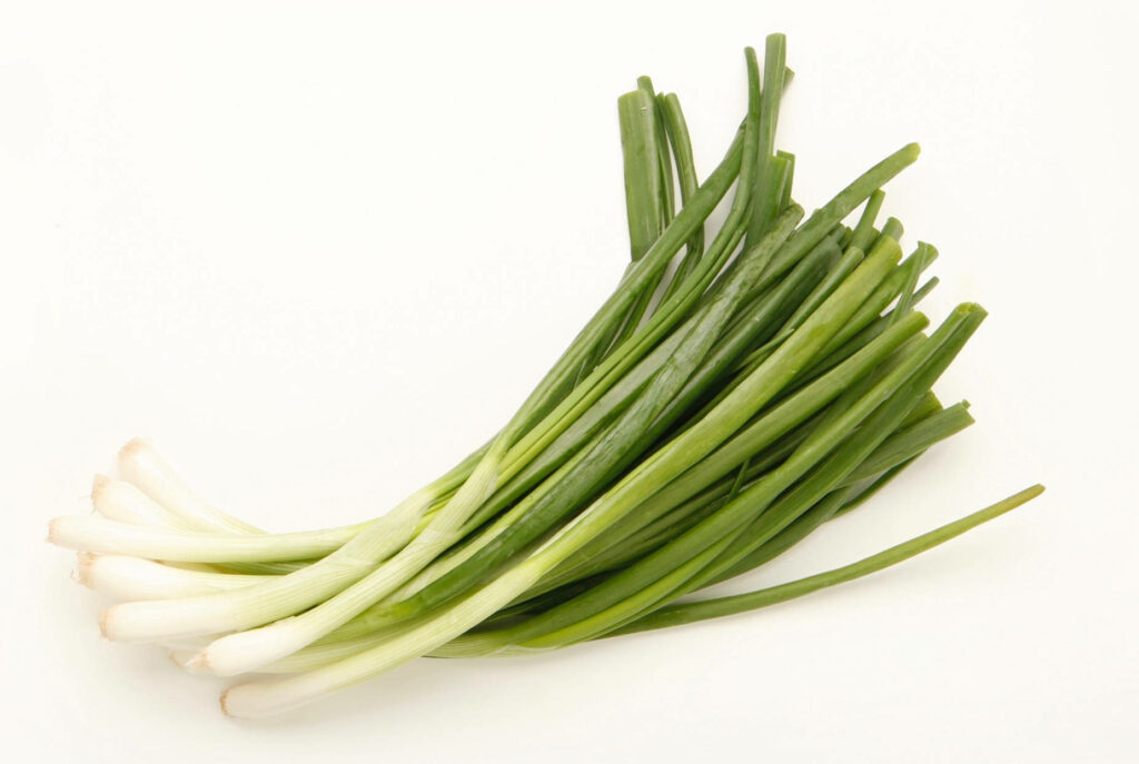 Fresh Green Onions on White Background: Vibrant Wallpaper Design