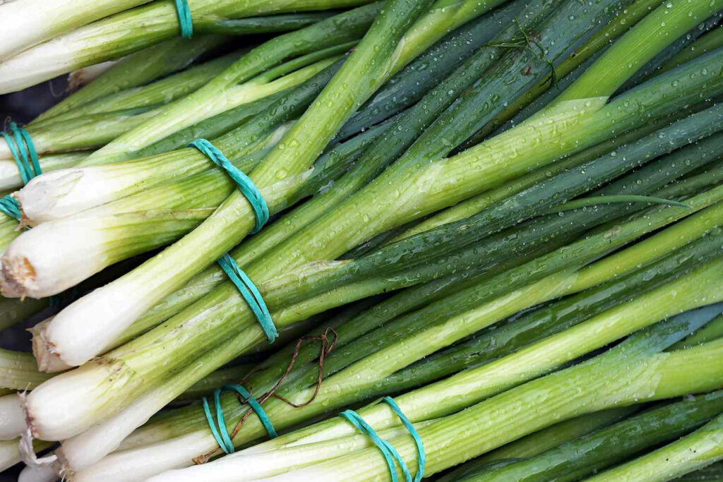 Vibrant Green Onion Bundles: Fresh Vegetable Wallpaper Background