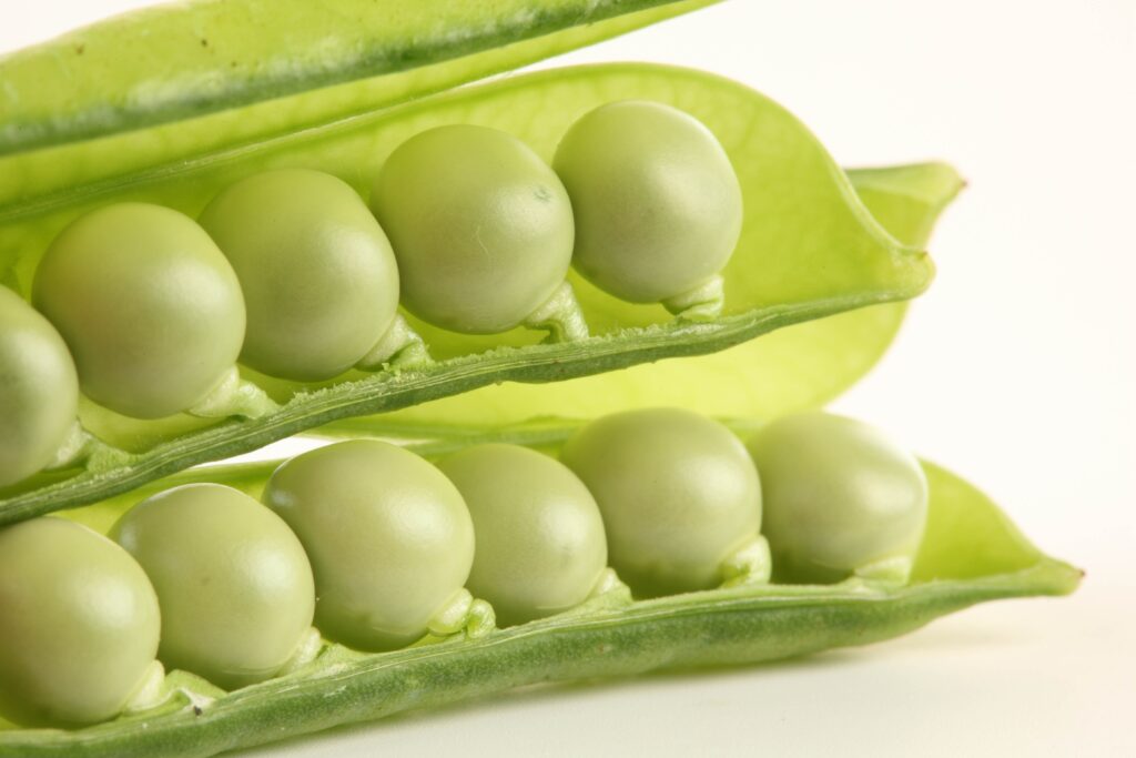 Fresh Green Peas Wallpaper: Vibrant Pod Design on White Background