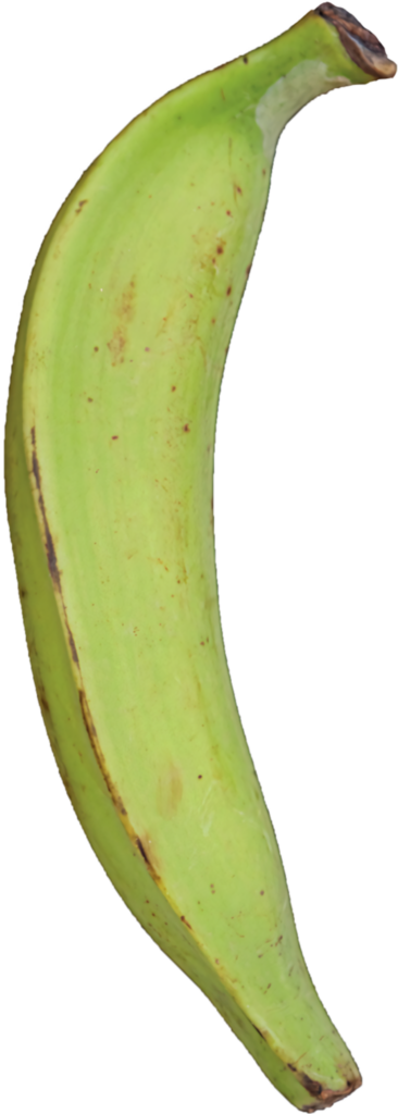 Vibrant Green Plantain on Blue: Natural Texture Wallpaper Background