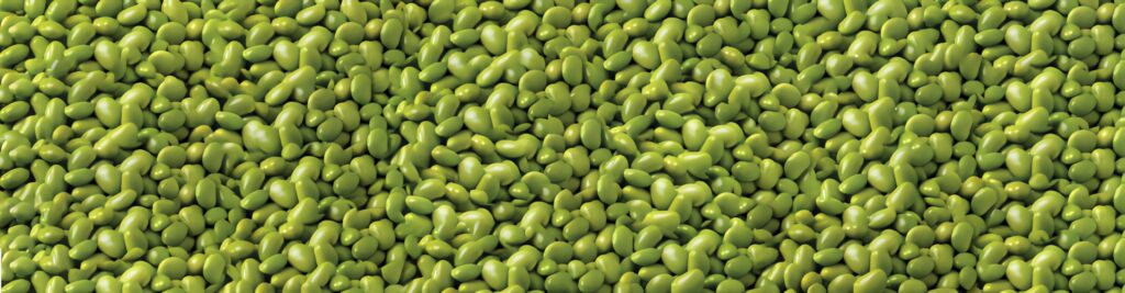 Seamless vibrant pattern of shelled edamame beans fresh healthy green wallpaper background