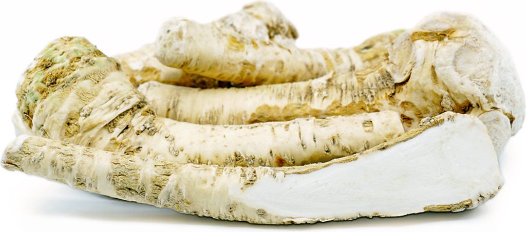 Close-up of fresh horseradish roots showing textured skin and crisp white interior on white background Wallpaper