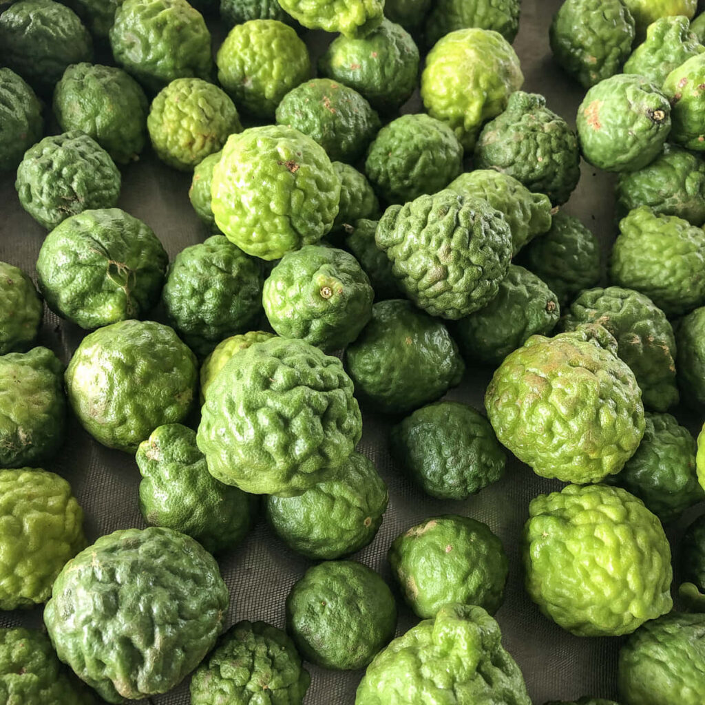 Close-up of fresh kaffir limes showing vibrant green color and unique bumpy texture wallpaper