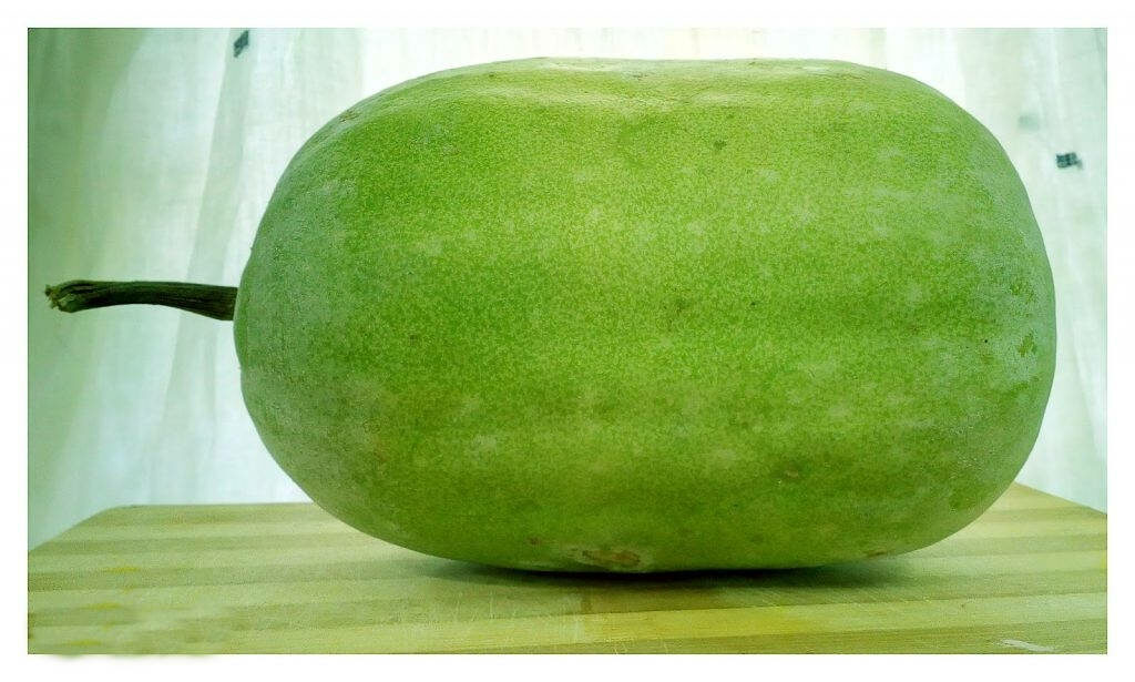 Fresh Ash Gourd on Wood: Healthy Vegetable Wallpaper Background