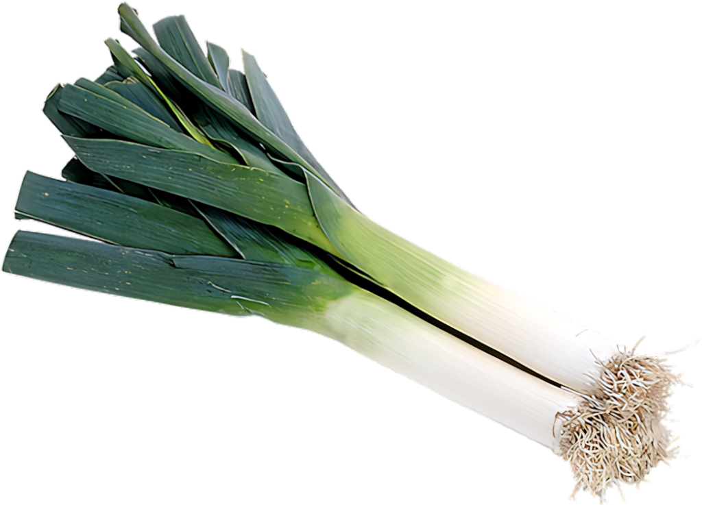 Fresh Leeks Isolated: High-Quality Culinary Wallpaper Background