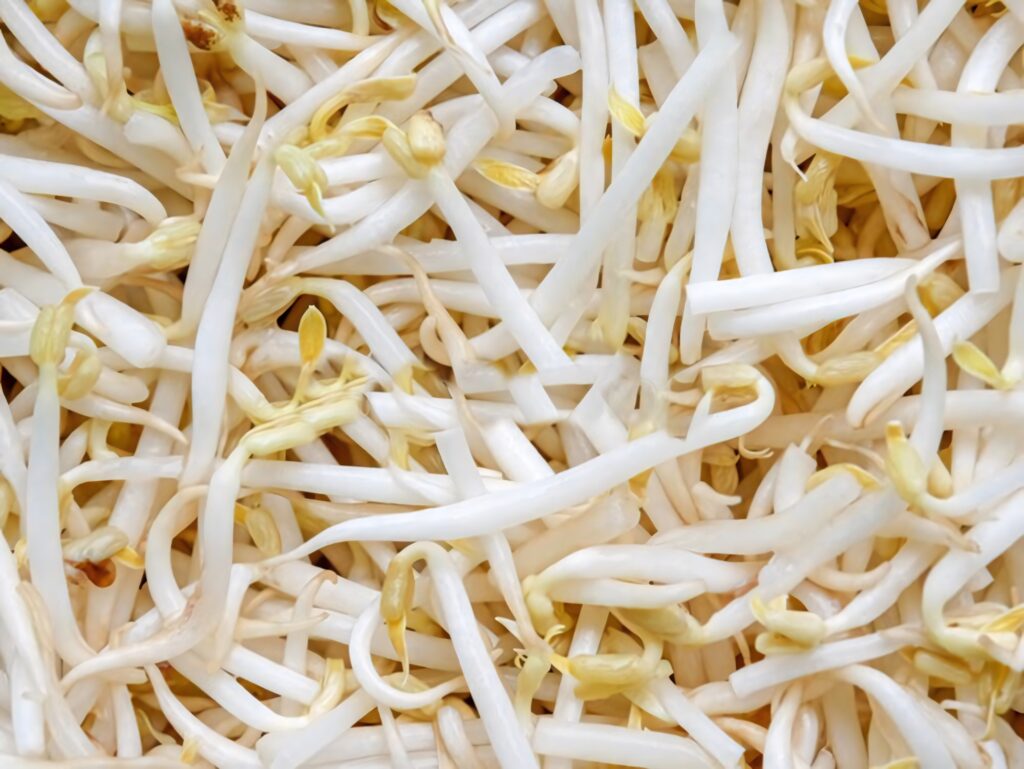 Macro close up of fresh mung bean sprouts with crisp textures and delicate yellow tips wallpaper