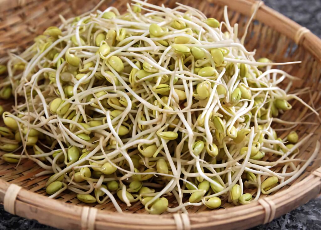 Fresh green mung bean sprouts piled in a rattan basket showcasing crisp vegetable texture background Wallpaper