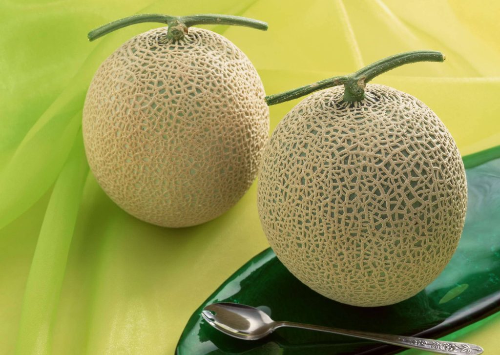 Two fresh musk melons on dark green dish with silver spoon bright studio background Wallpaper