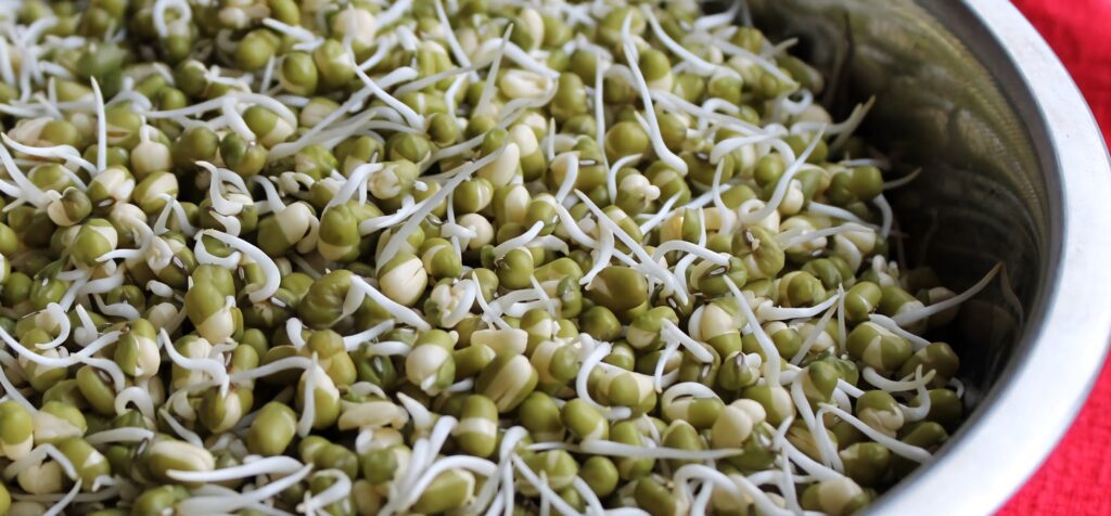 Close-up of fresh organic green bean sprouts in metal bowl showing vibrant texture and color Wallpaper