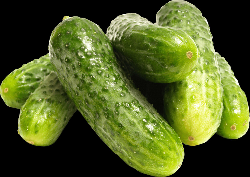 Close-up of fresh pickled green cucumbers with textured skins and glossy vibrant color background Wallpaper