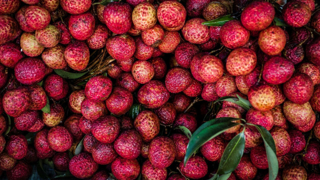 Vibrant Pink Lychee Wallpaper: Tropical Close-Up with Greenery