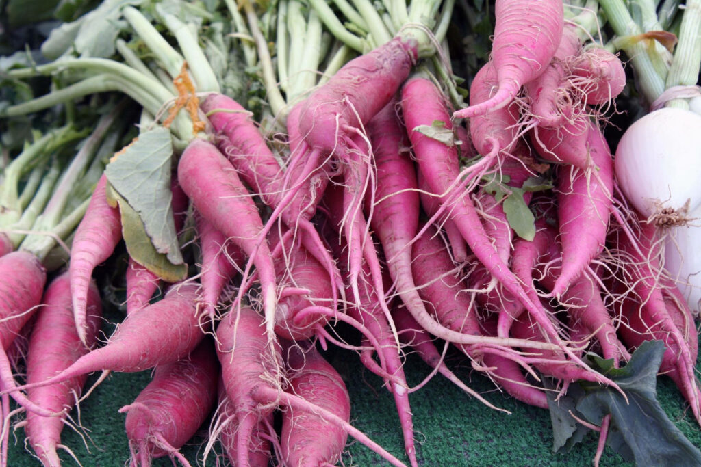Fresh Pink Radishes Close-Up: Vibrant Market Stand Wallpaper Background
