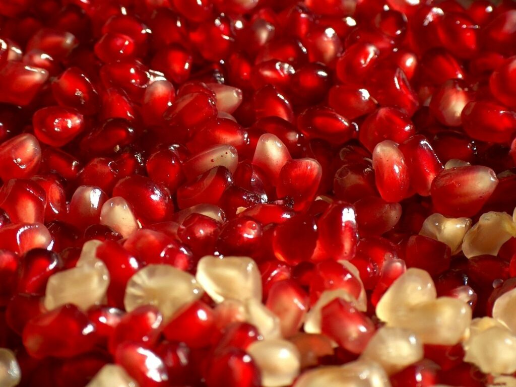 Vibrant Pomegranate Seeds: Glossy Red & White Juicy Wallpaper