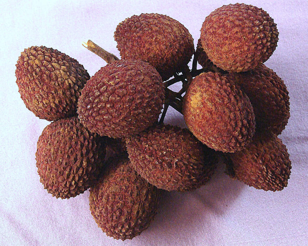 Close-Up of Ripe Pulasan Fruits: Textured Skin on Soft Wallpaper