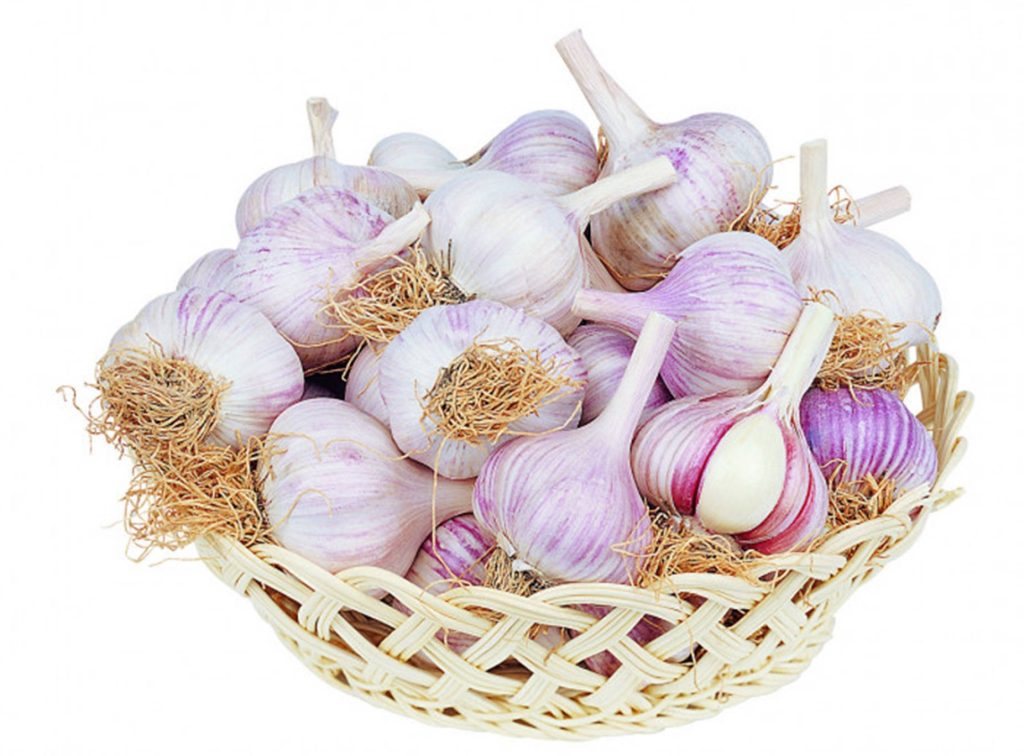 Fresh purple garlic bulbs in rustic woven basket bright studio lighting culinary wallpaper
