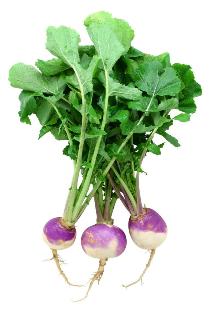 Vibrant Purple-Topped Turnips Wallpaper: Fresh & Earthy Design
