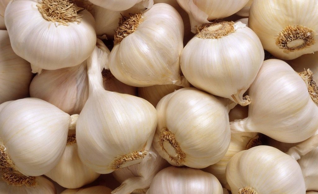 High-resolution wallpaper of fresh garlic bulbs with papery white skin illuminated by soft light