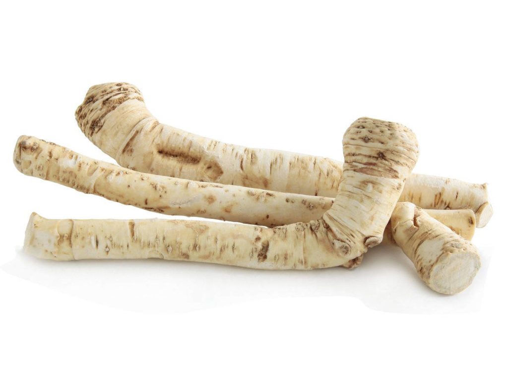 Fresh raw horseradish roots on white background textured creamy beige vegetable wallpaper